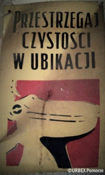 C6