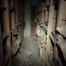 C6