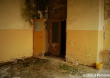 C5