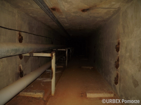 B2